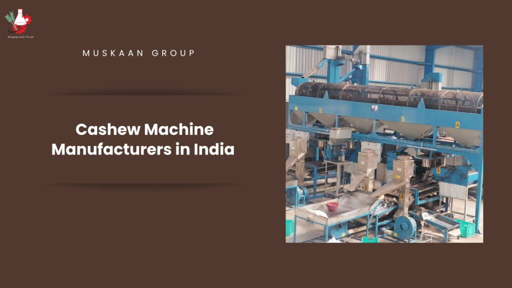 Cashew Machine manufacturers in India