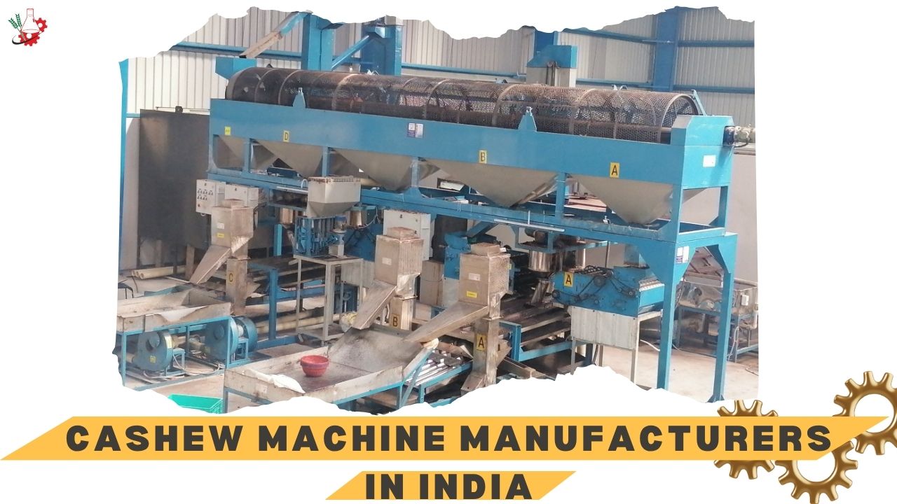 Cashew Machine Manufacturers in India