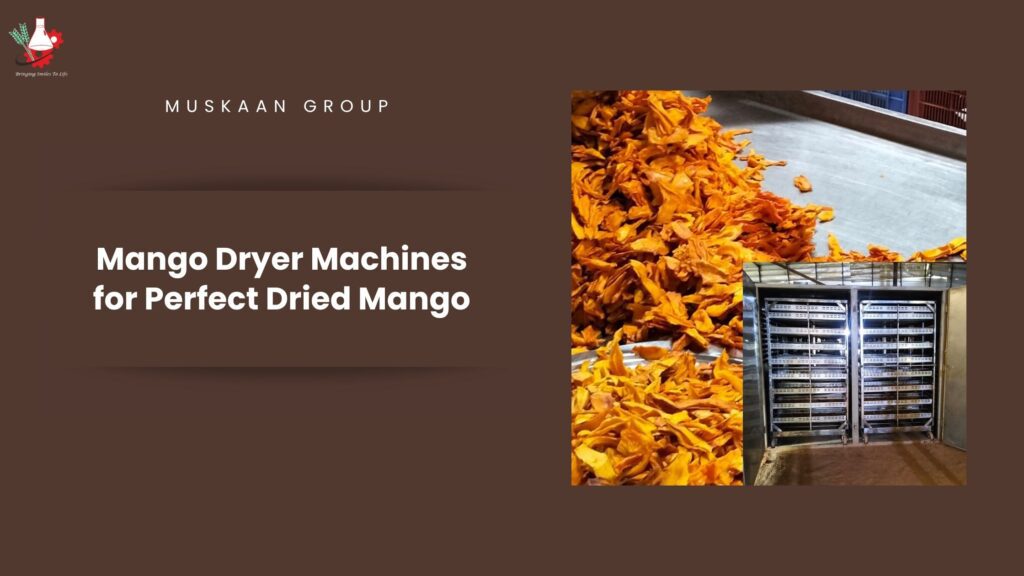 Mango Dryer Machines for Perfect Dried Mango