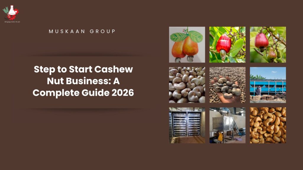 Steps to Start Cashew Nut Business: A Complete Guide